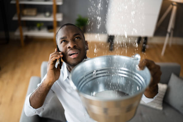 Best Residential water damage restoration  in Black Mountain, NC