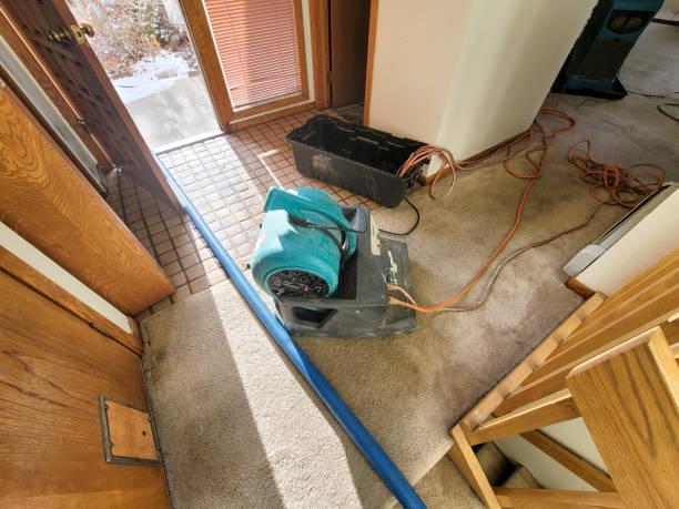  Black Mountain, NC Water damage restoration Pros