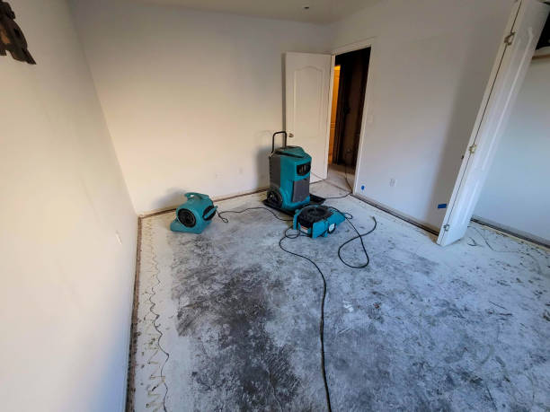Best Water damage restoration near me  in Black Mountain, NC