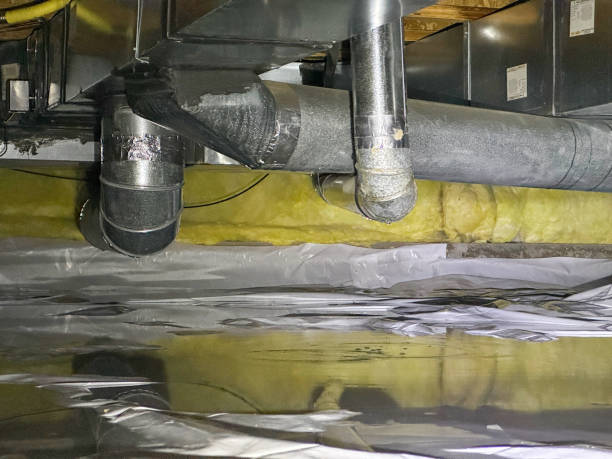 Best Flood restoration services  in Black Mountain, NC